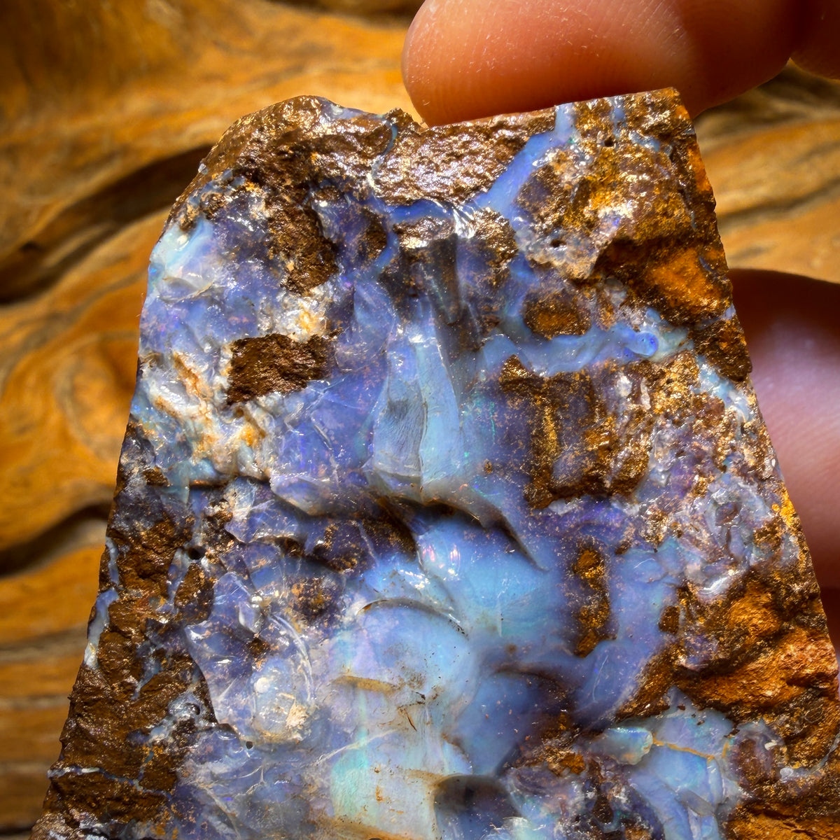 593cts - Massive Queensland Boulder Seam Opal Rough Piece