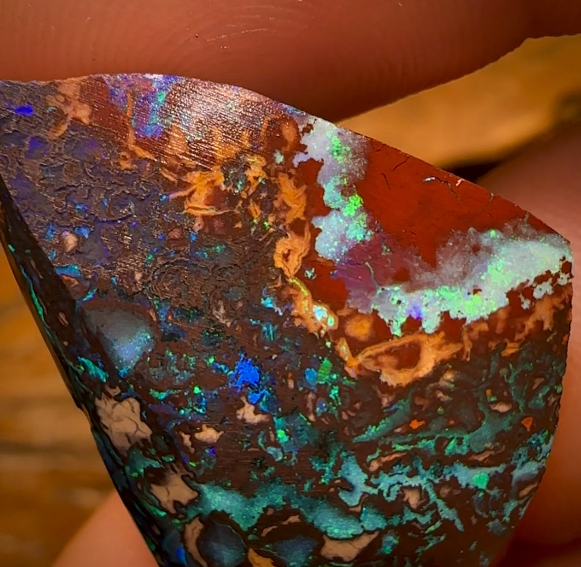 38.9cts - Yowah Nut Tribal Opal Rub