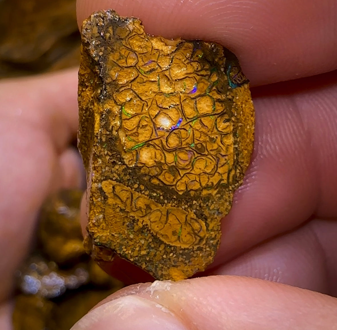 261.1g - 27x Yowah Nut Rough Opal Parcel. Queensland Boulder Opal 30c/ct Bargain - Opal Whisperers