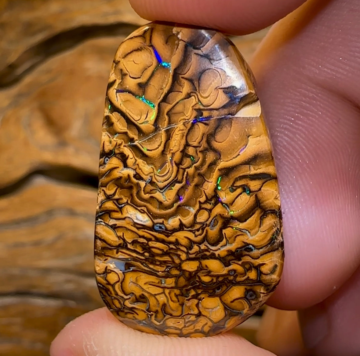 48.5cts - Yowah Nut Tribal Opal. Double Sided Tan Tribal - Opal Whisperers