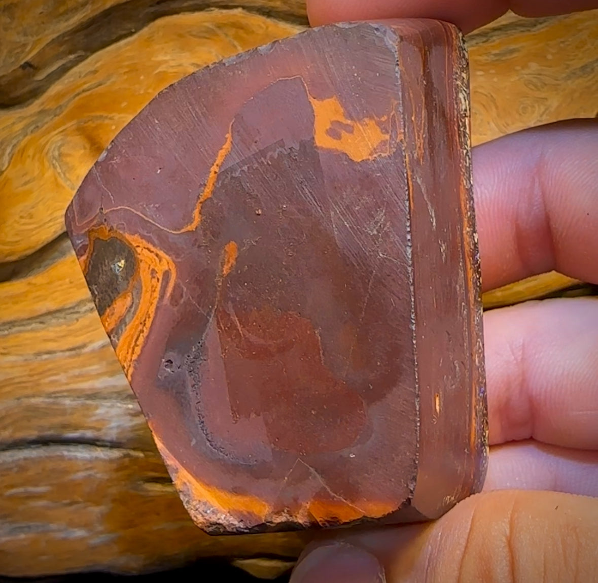 910.5cts - Large Tribal Queensland Boulder Opal. Polished Specimen