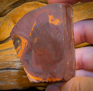 910.5cts - Large Tribal Queensland Boulder Opal. Polished Specimen