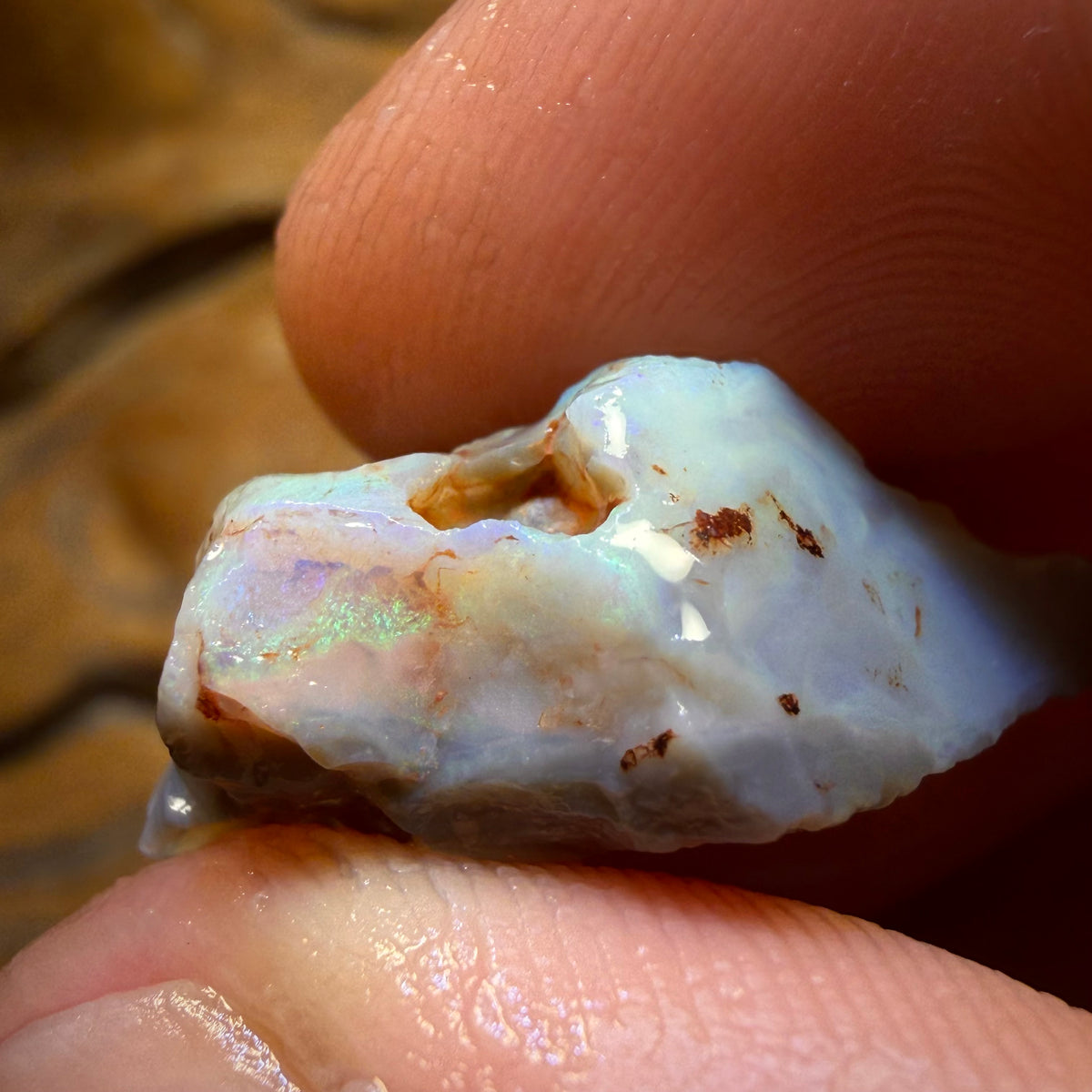 23.1cts - Lightning Ridge Dark Opal Rough Piece