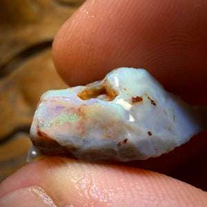 23.1cts - Lightning Ridge Dark Opal Rough Piece
