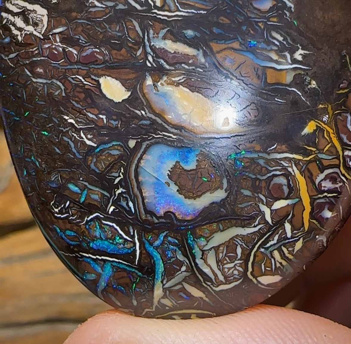 243.3cts - Top Tribal Art Australian Boulder Opal Specimen Polished - Opal Whisperers