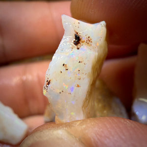 🔨 AUCTION 🔨 44.5cts - 5x South Australian White Opal Rough Parcel