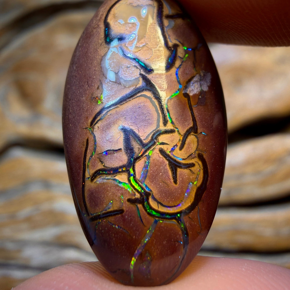 Opal Fest Bargain Card 28.1cts - Tribal Magic Picture Stone Yowah Nut Opal. Australian Opal