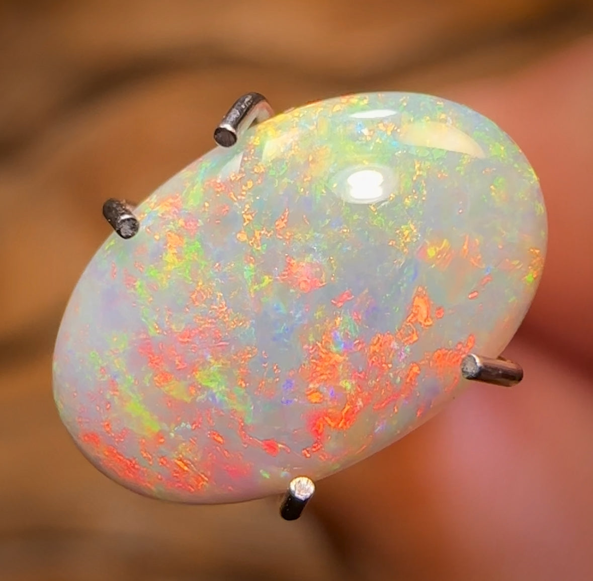 1.4cts - Lightning Ridge Dark Opal BARGAIN