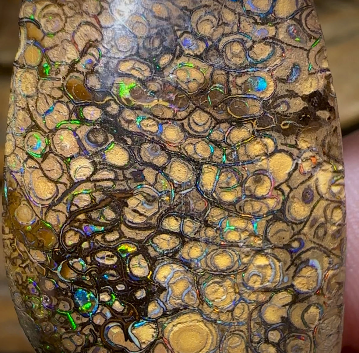 46.3cts - Yowah Nut Tribal. Australian Boulder Opal - Opal Whisperers