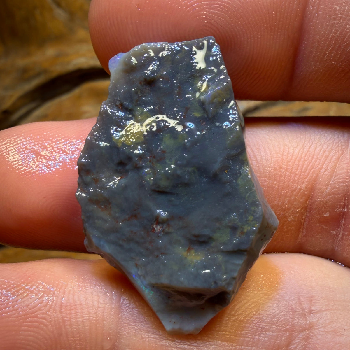 28.7cts - Lightning Ridge Black Opal Rough Piece