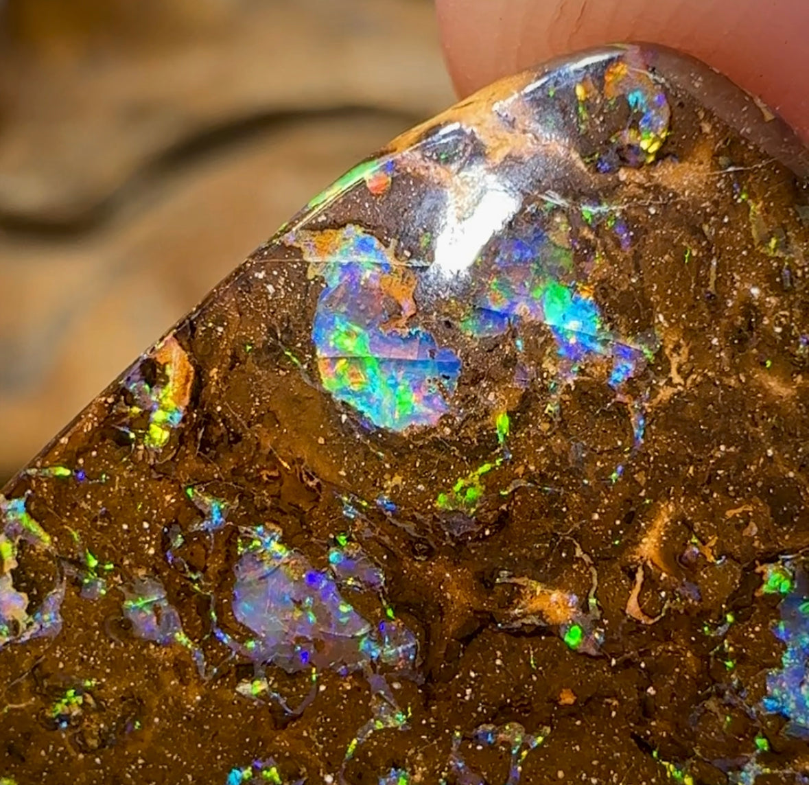 59.4cts - Solid Natural Bubble Band Boulder Opal - Opal Whisperers