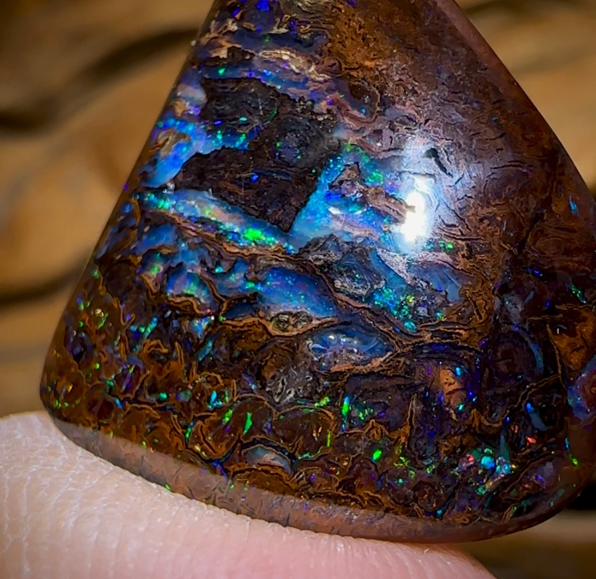 31.1cts - “Electric Yurt” Queensland Boulder Opal Specimen. Double Sided