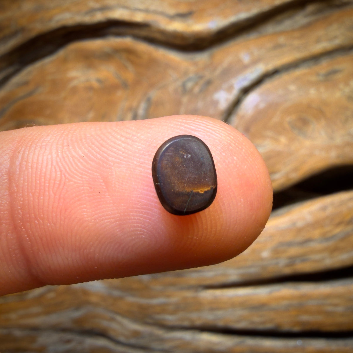 🔨 AUCTION 🔨 1.3cts - Queensland Boulder Seam Opal. Australian Opal