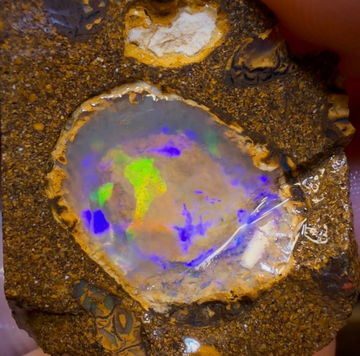 🔒108 carats - Lot de 3 opales brutes rares Yowah Nut Crystal Centre. Opale boulder australienne
