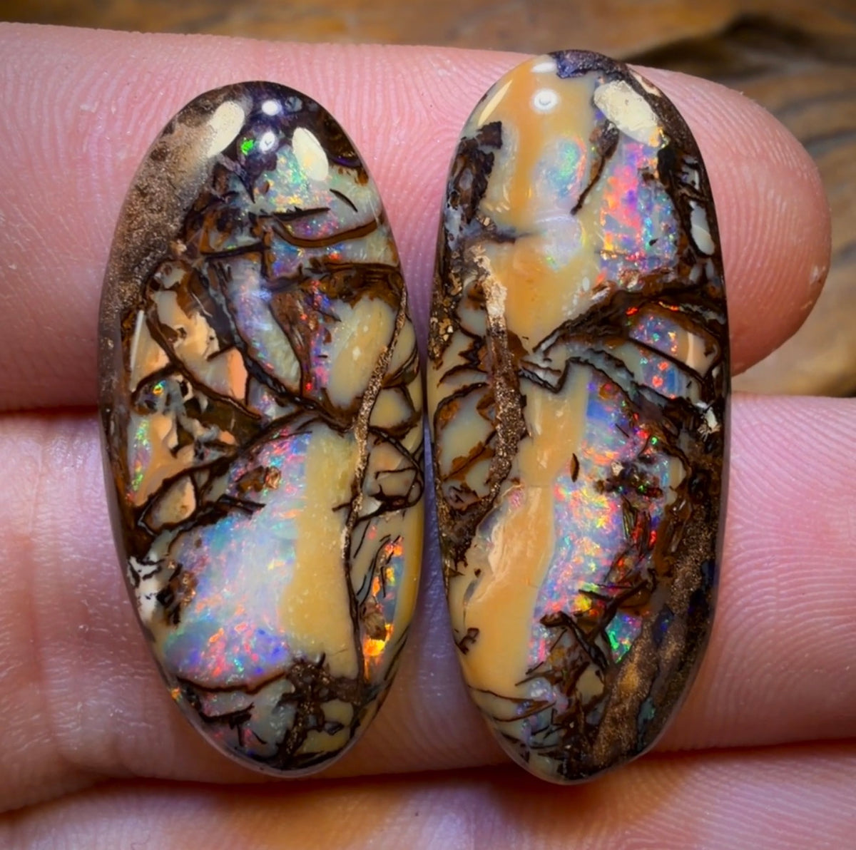33.1cts - Cathedral AKA Stained Glass Window Australian Boulder Wood Fossil Opal Pair