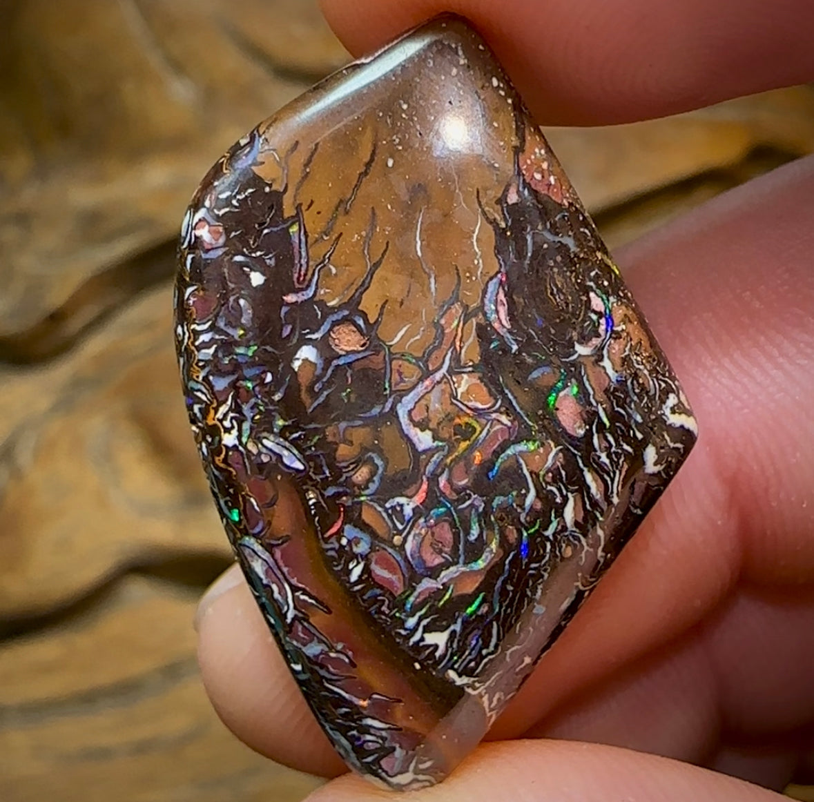 33.6cts - Yowah Nut Opal. Tribal Pattern - Opal Whisperers