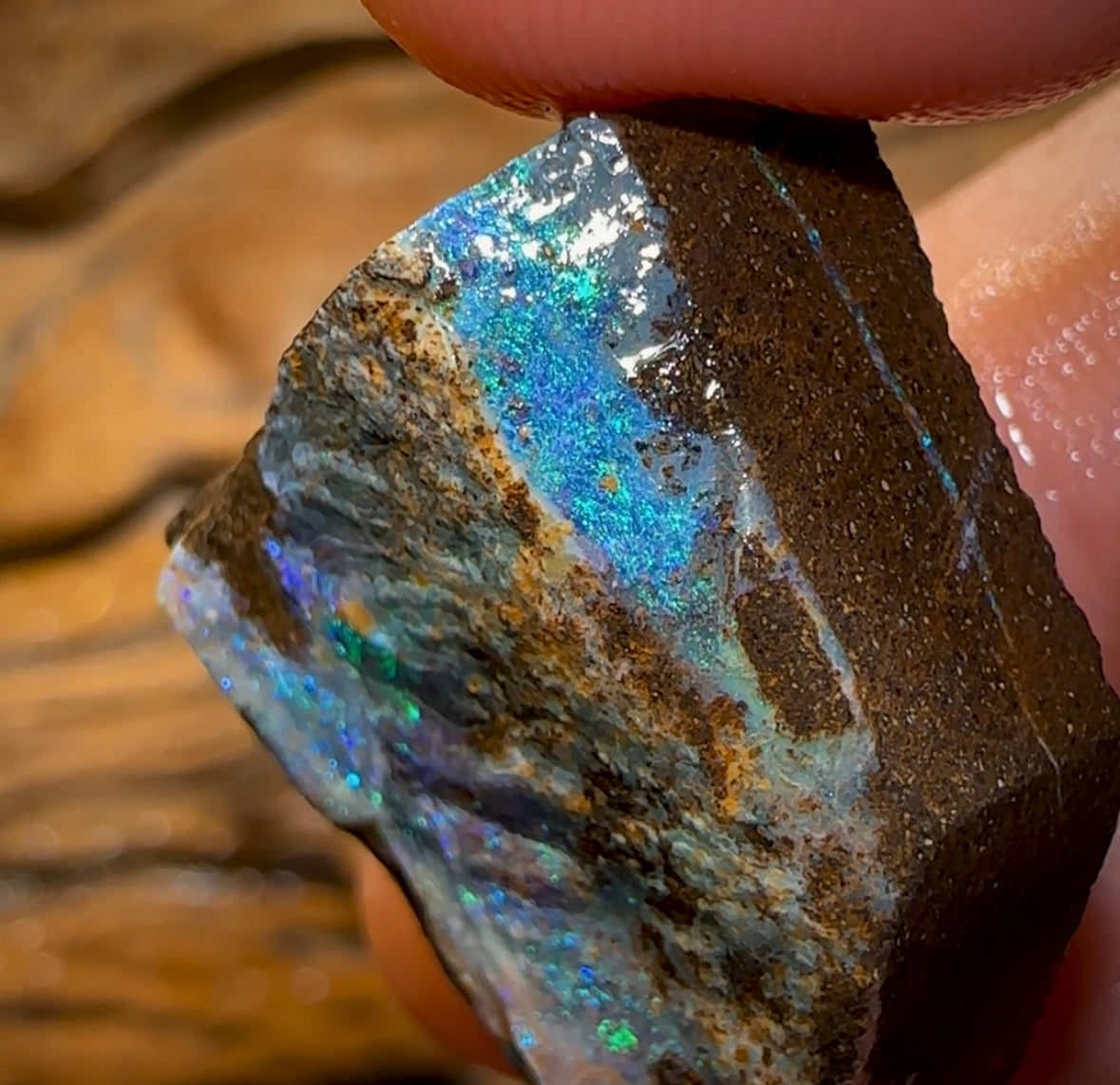 53.8cts - Australian Boulder Opal Rough Preform. Natural Split - Opal Whisperers