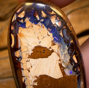 31.7cts - Yowah Nut Kernel Opal. Australian Boulder Opal