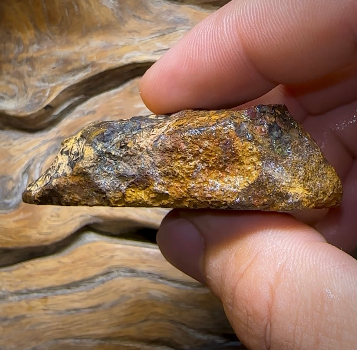 328.8cts - Yowah Nut Opal Rough Half. Australian Opal - Opal Whisperers