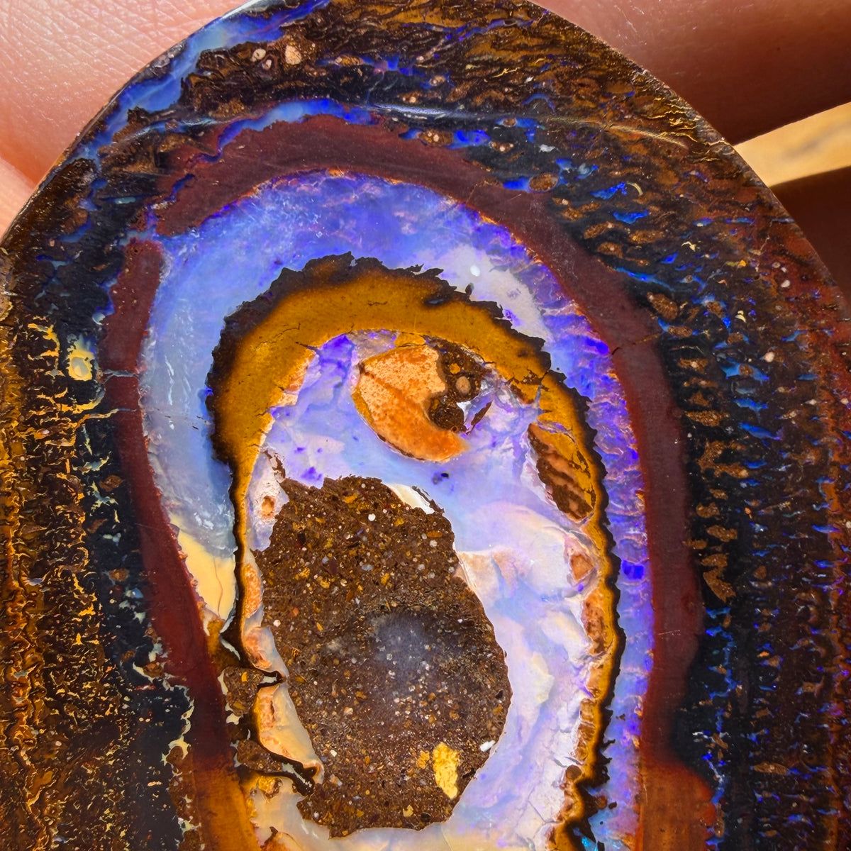 Opalfest Wildcard! 716.4cts - Rare Yowah Nut Crystal Centre Opal Specimen Pair. Polished