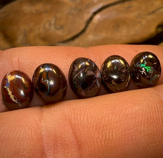12.6cts - 5x fertige Queensland Boulder Opale. Großhandelspaket KALIBRIERT