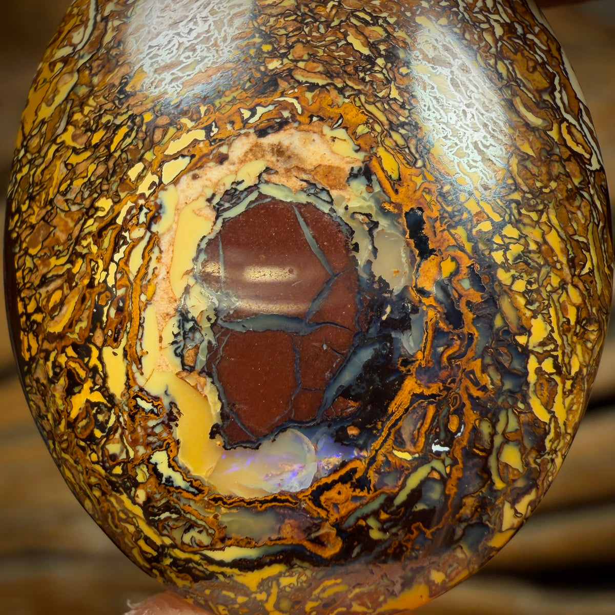 29.7cts - Tribal Queensland Boulder Opal from Yowah