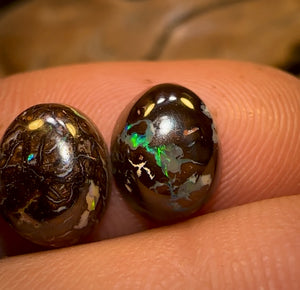 12.6cts - 5x Finished Queensland Boulder Opals. Wholesale Parcel CALIBRATED