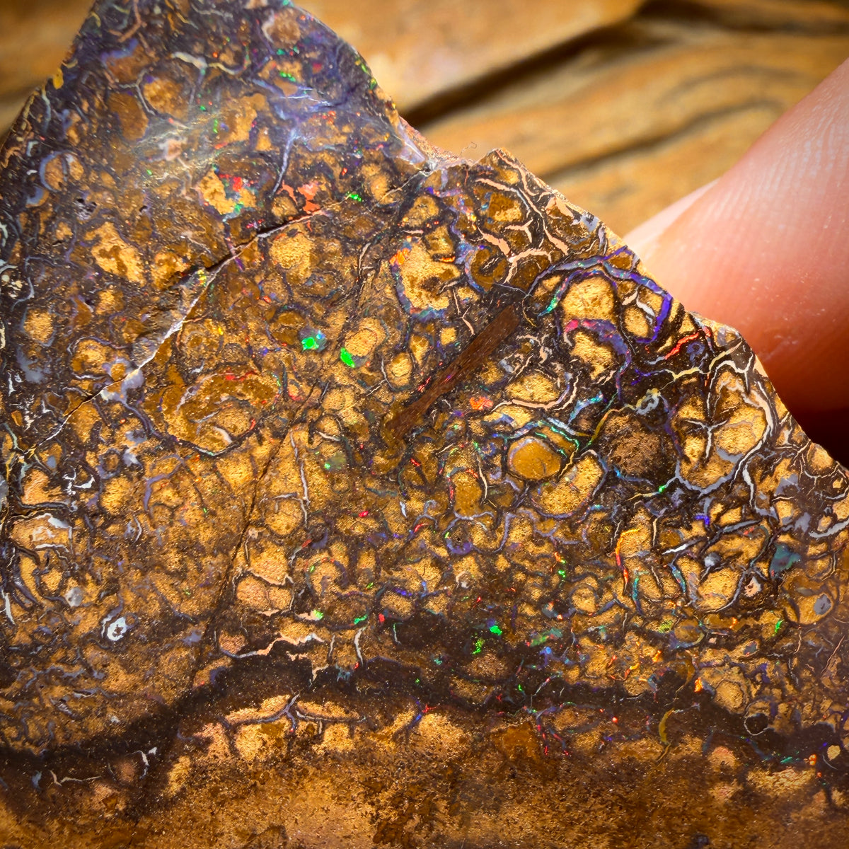 1033 carats - Grand spécimen poli d'opale boulder australienne tribale