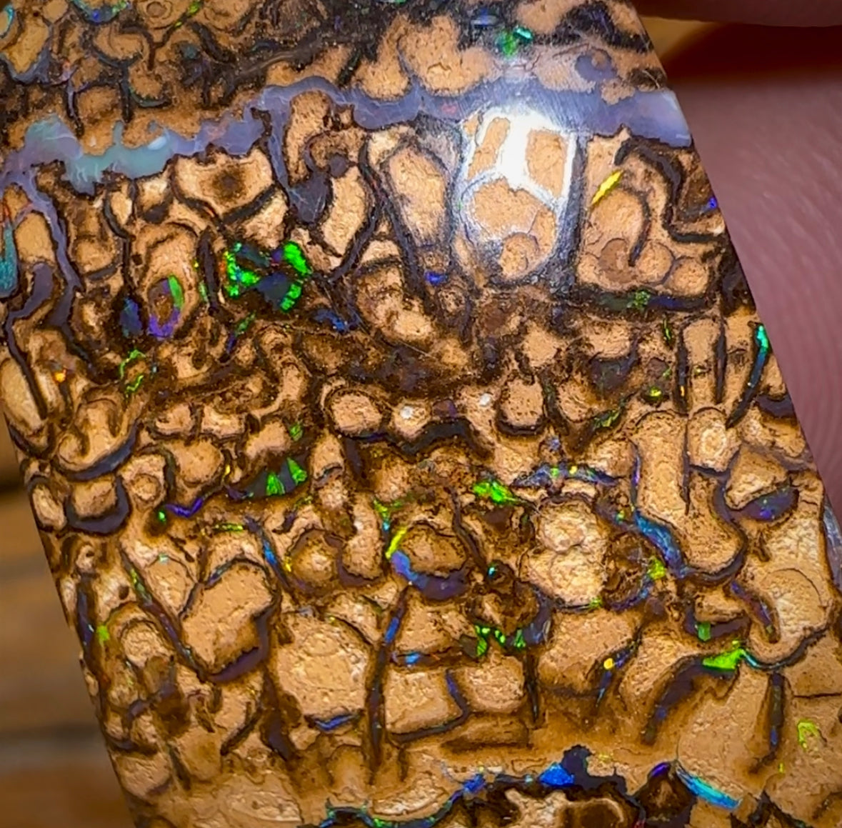 57.1cts - Yowah Nut Tan Tribal Opal. Australian Opal - Opal Whisperers