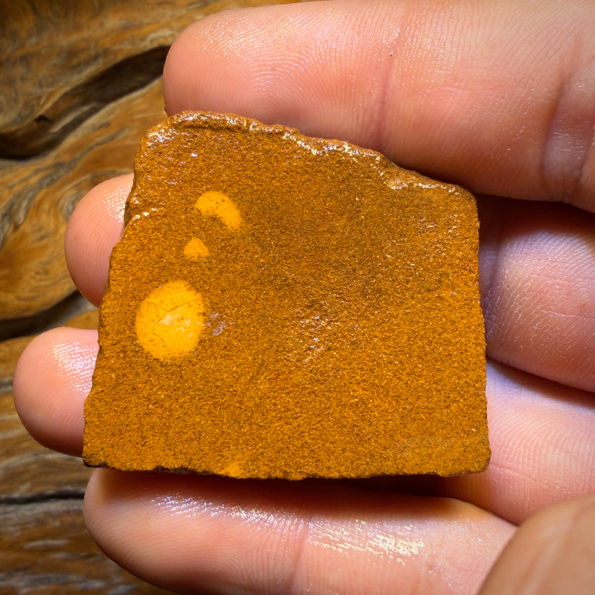 Half Price Card! 124cts - Yowah Opal Rough Piece. Biscuit Band Hit the Bar and Win Big!