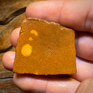 Half Price Card! 124cts - Yowah Opal Rough Piece. Biscuit Band Hit the Bar and Win Big!