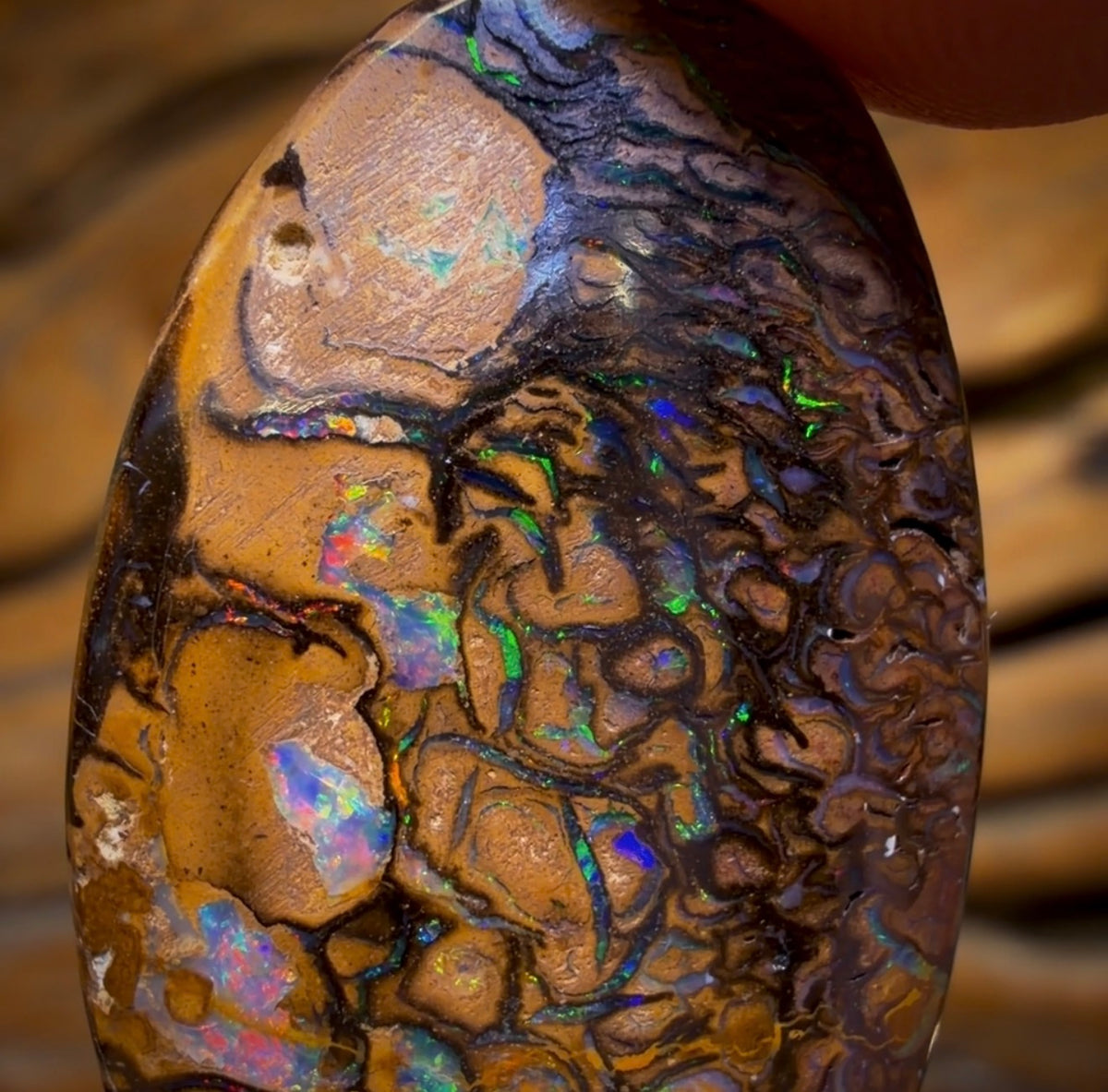 45.7cts - Tribal Australian Boulder Opal from Yowah