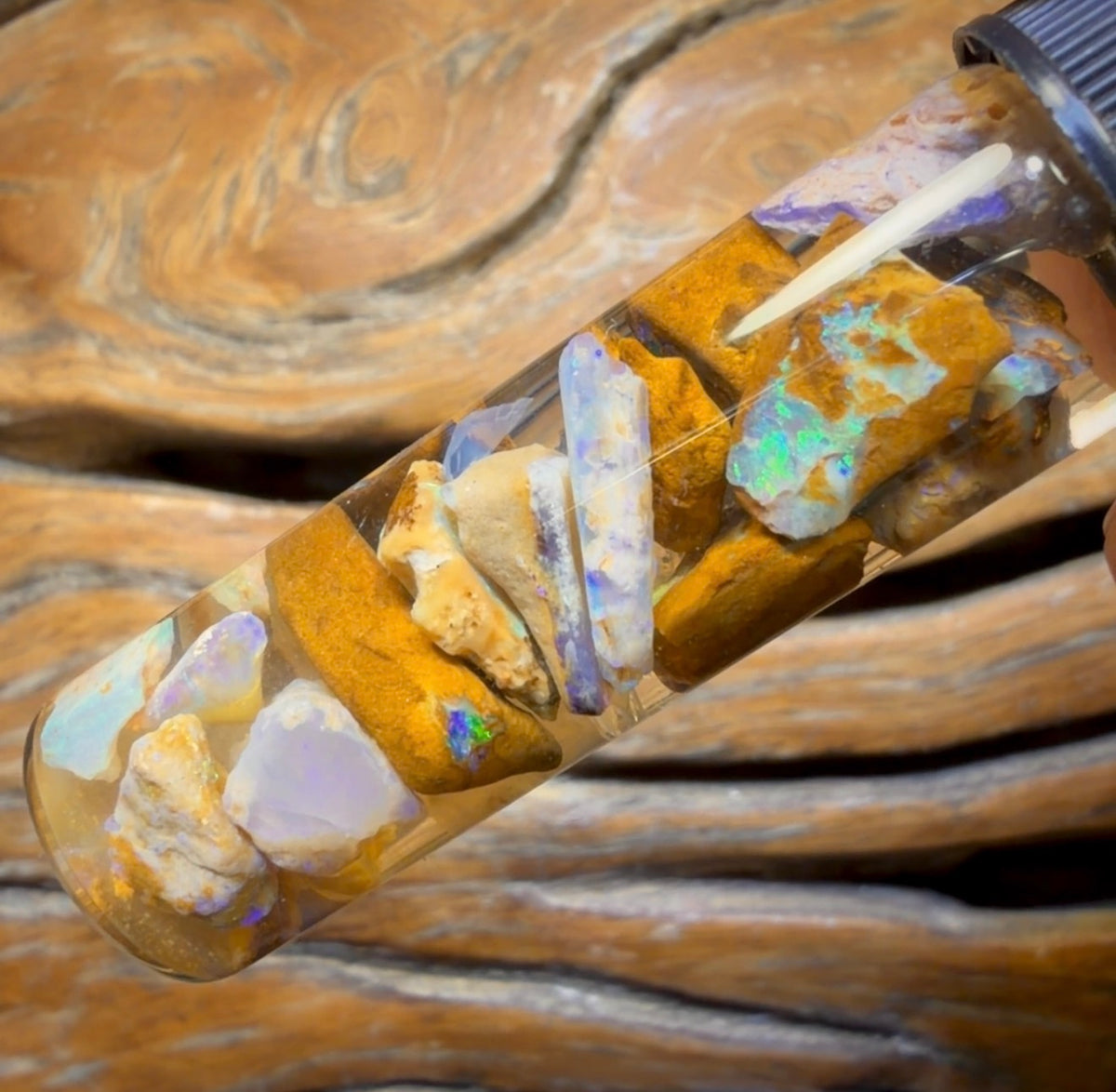 42cts - Vial of Yowah Opal Rough w/ Fossil Opal