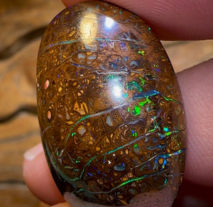 49.5cts - Queensland Boulder Opal. Yowah Tribal - Opal Whisperers