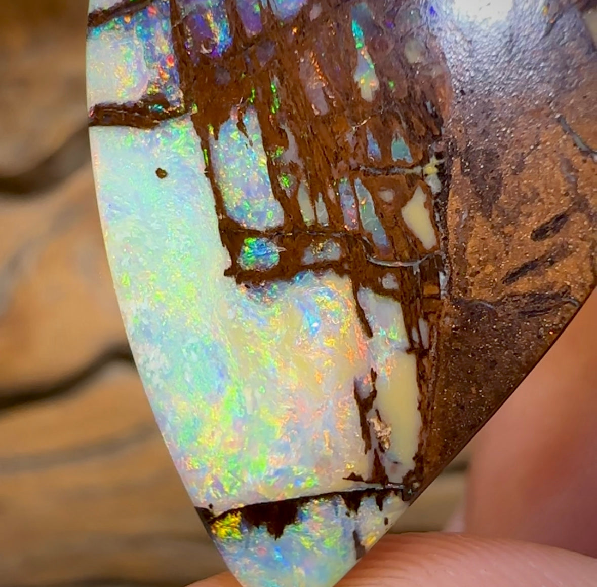 (Template) 24.1cts - Top Australian Boulder Wood Fossil Opal. Rare Cathedral Pattern - Opal Whisperers
