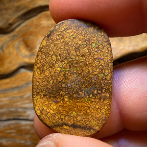31.7cts - Tan Tribal Queensland Boulder Opal from Yowah