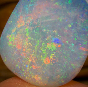 20.1cts - GEM Rare Opal Fossil Wood Crystal Opal