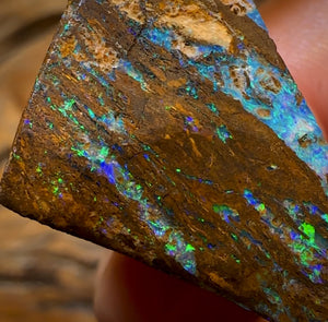 57.1cts - Queensland Boulder Wood Fossil Opal Preform Rub