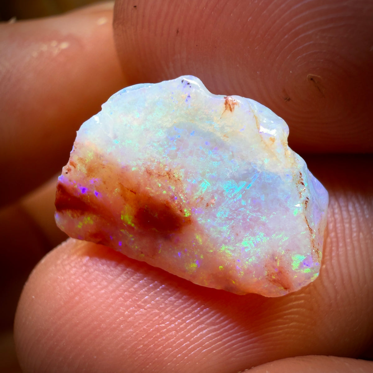 (5-15 $ de la livre) 71.3 cts - 7x Parcelle d'opale brute d'Australie du Sud