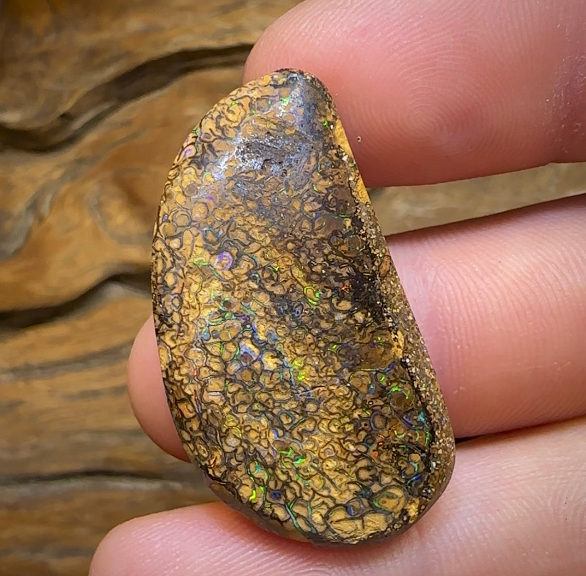 51.3cts - Yowah Nut Tribal. Australian Boulder Opal - Opal Whisperers