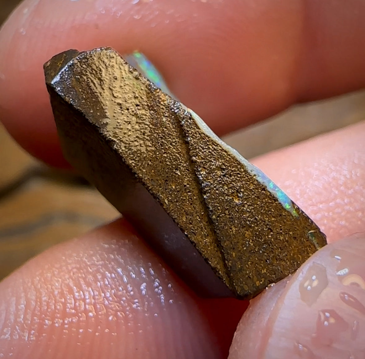 14.1cts - Queensland Boulder Seam Opal Rub