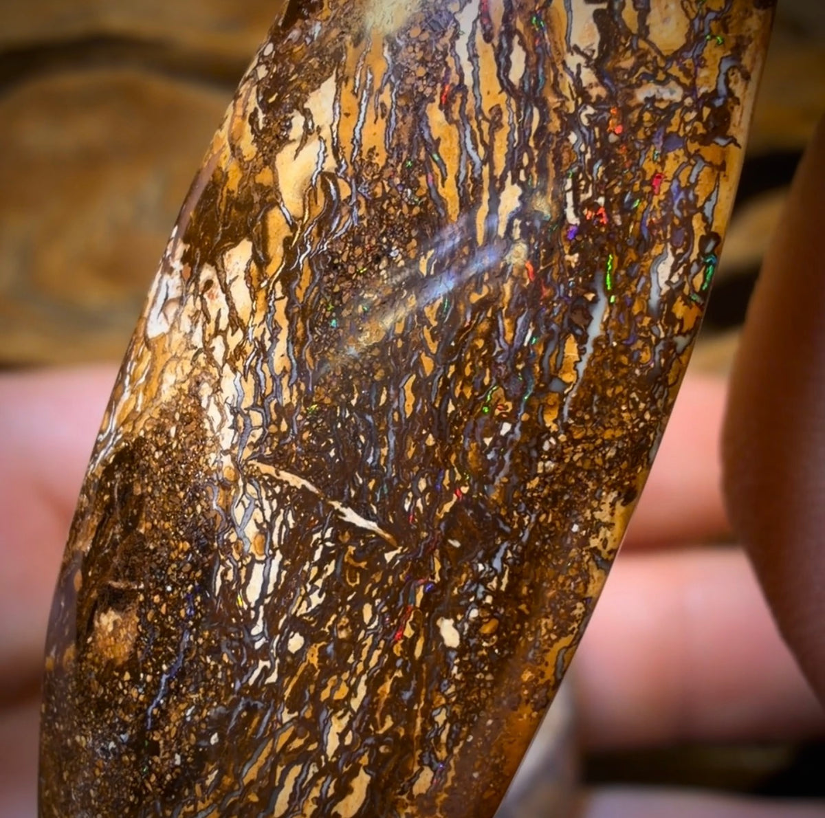 201.1cts - 3x Yowah Nut Opal’s. Wholesale Dealers Parcel less than $1/ct