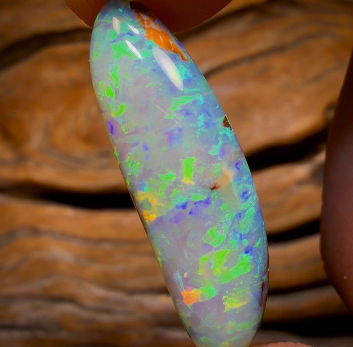13.4cts - BANGER GEM Rare Fossil Yowah Crystal Opal