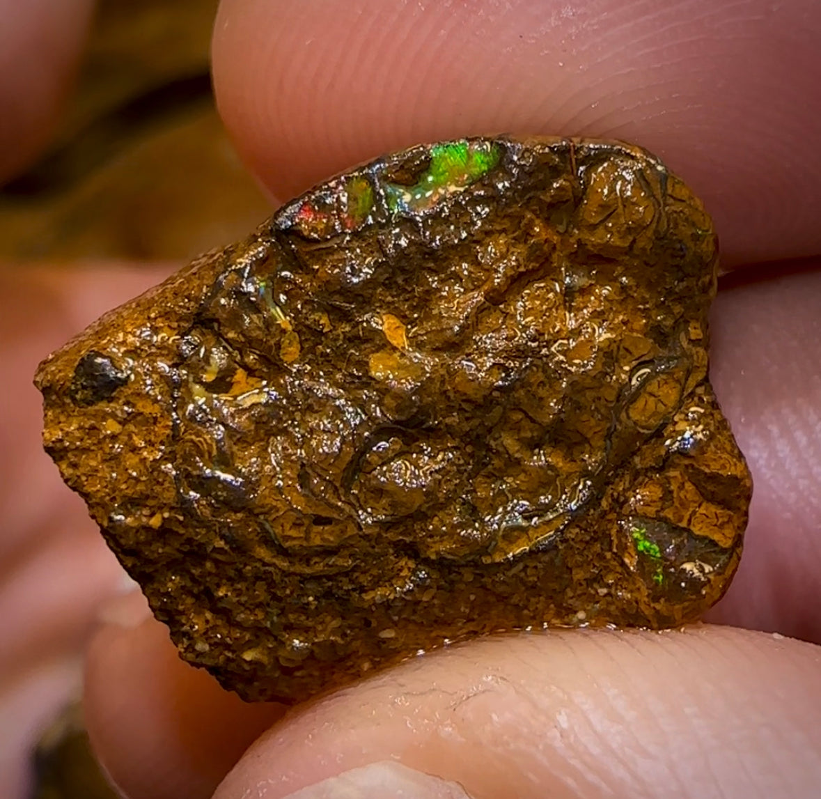 127.7cts - 4x Yowah Nut Rough Opal Parcel. Australian Boulder Opal - Opal Whisperers