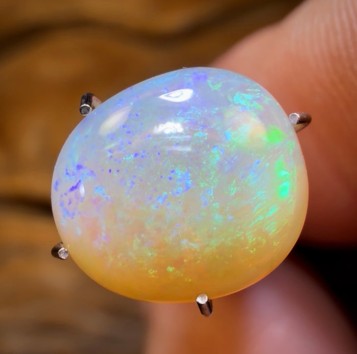 🔨 AUCTION 🔨 2.95cts - Golden Bean Lightning Ridge Crystal Opal