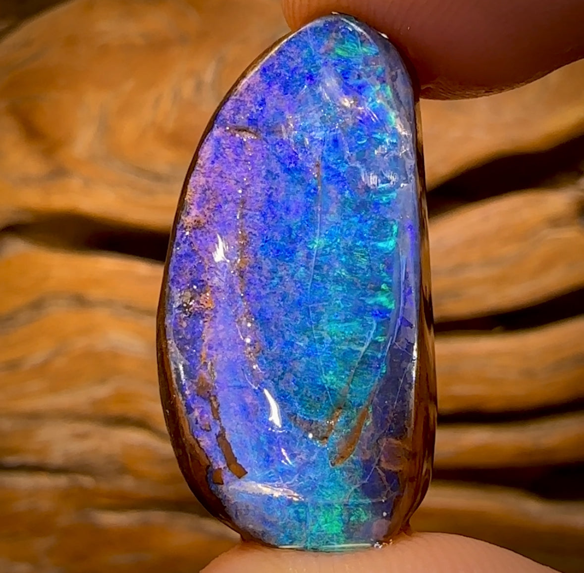 🔨 AUCTION 🔨 Reserve 💎 High Roller Banger Auction 💎  Beauty 40.5cts - Top Queensland Boulder Seam Opal Rub