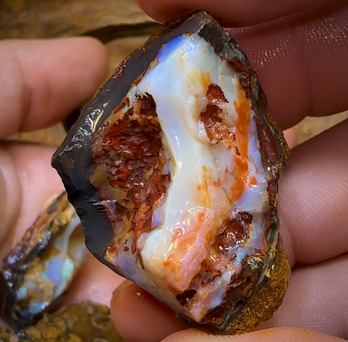 140.1g - 8x Mixed Queensland Boulder Opal Rough Pieces with Crystal Centres - Opal Whisperers