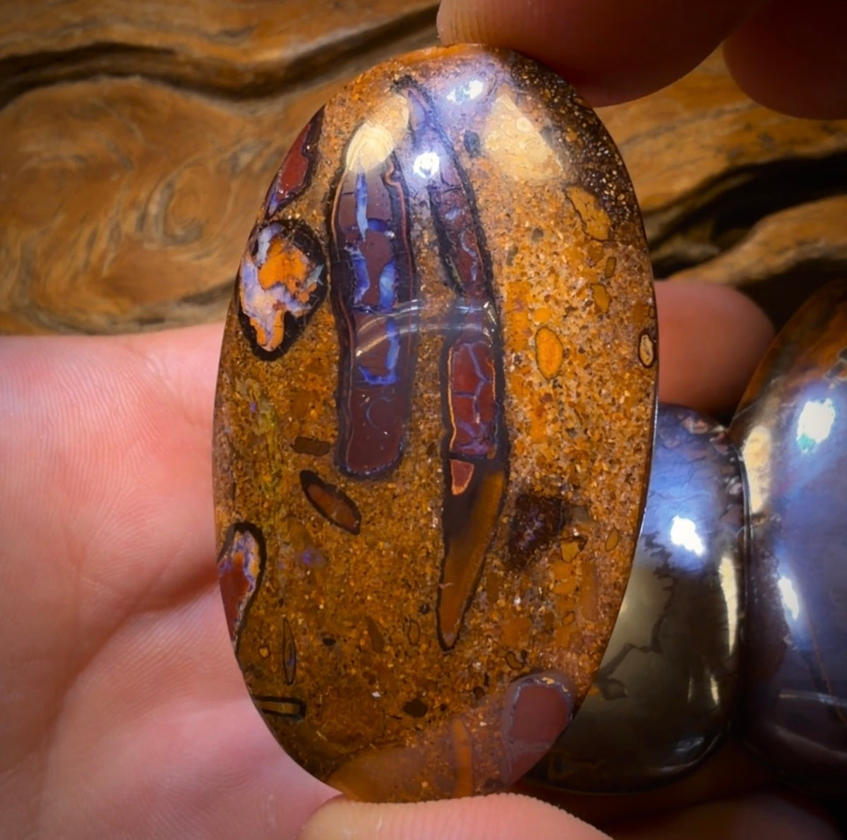 295.1cts - 3x Australian Tribal Boulder Opal’s. Wholesale Dealers Parcel $0.50c/ct