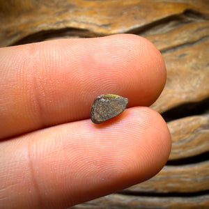 0.8cts - Queensland Boulder Seam Opal from Winton