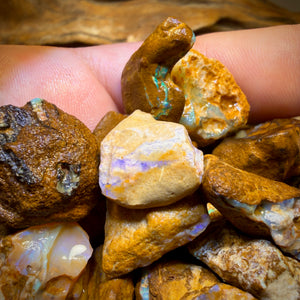 🔒307.5cts - 24x Opalised Wood/Vegetation Fossil Rough Parcel from Yowah